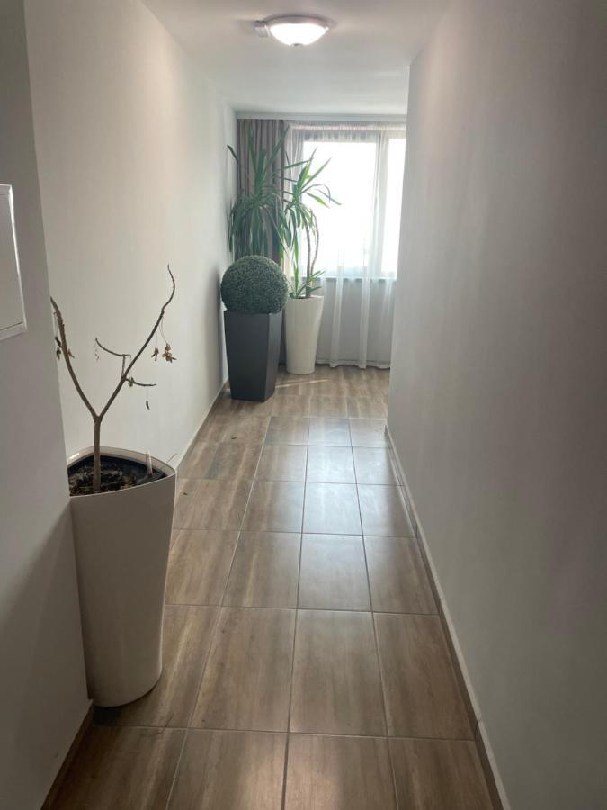 Teddy Apartment فيليكو ترنوفو المظهر الخارجي الصورة